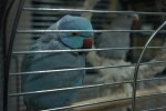 Брянский государственный краеведческий музей