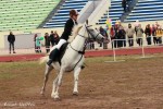 Фаворит