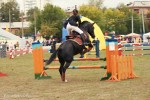 Фаворит