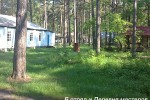 Республика Маяк