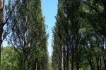 Ботанический сад УрО РАН