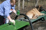 Детский парк им. В.В. Терешковой