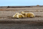 National Geographic