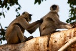 National Geographic