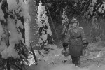 Девчата