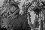 Девчата