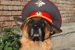 Возвращение Мухтара