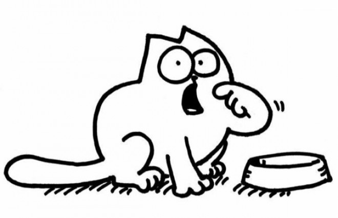 Simon's cat