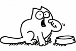 Simon's cat