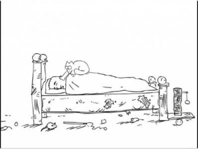 Simon's cat
