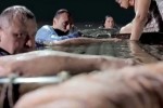 Остров ненужных людей