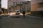 Белые росы