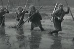 А зори здесь тихие