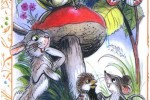 Сказки и картинки В.Сутеева