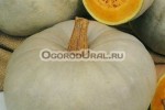 Русский огород