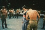 Фанат 1,2