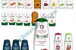 Timotei