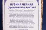 Бузина черная