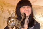 Кошка беспородная