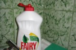 Fairy