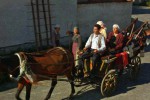 Вангелия