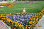 Центральный городской парк