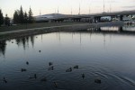 Каскад прудов