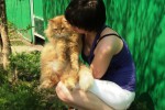 Кошка беспородная