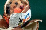 Kinder Сюрприз