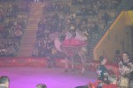 Казанский государственный цирк