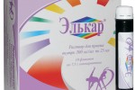 Элькар