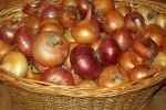 Лук репчатый