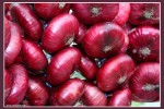 Лук репчатый