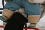 Котофей