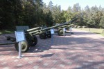 Партизанская поляна