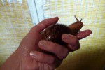 6646474_thumb.jpg