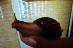 6646475_thumb.jpg