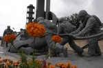 Мотыльки