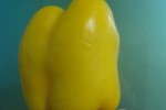 6732177_thumb.jpg