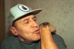 В мире животных