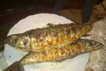 Скумбрия