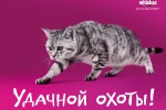 whiskas.ru