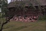 Иди и смотри