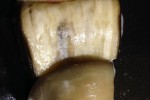 6830442_thumb.jpg