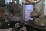 7158639_thumb.jpg