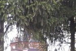 7004370_thumb.jpg