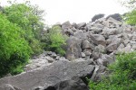 7040415_thumb.jpg