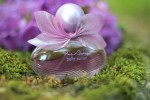 Avon Incandessence