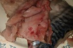 7466701_thumb.jpg
