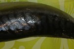 7466717_thumb.jpg